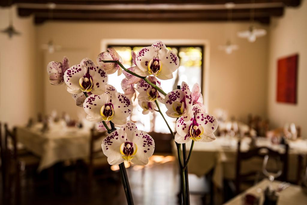 Charme Hotel Osteria Carletti Bedano エクステリア 写真
